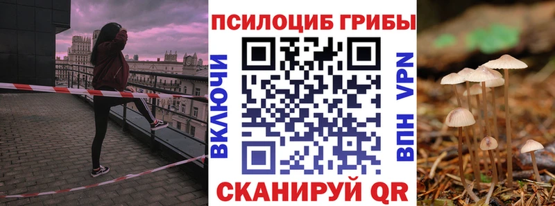 где продают наркотики  Калининград  Псилоцибиновые грибы Psilocybe 