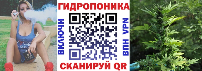 Конопля индика  Калининград 